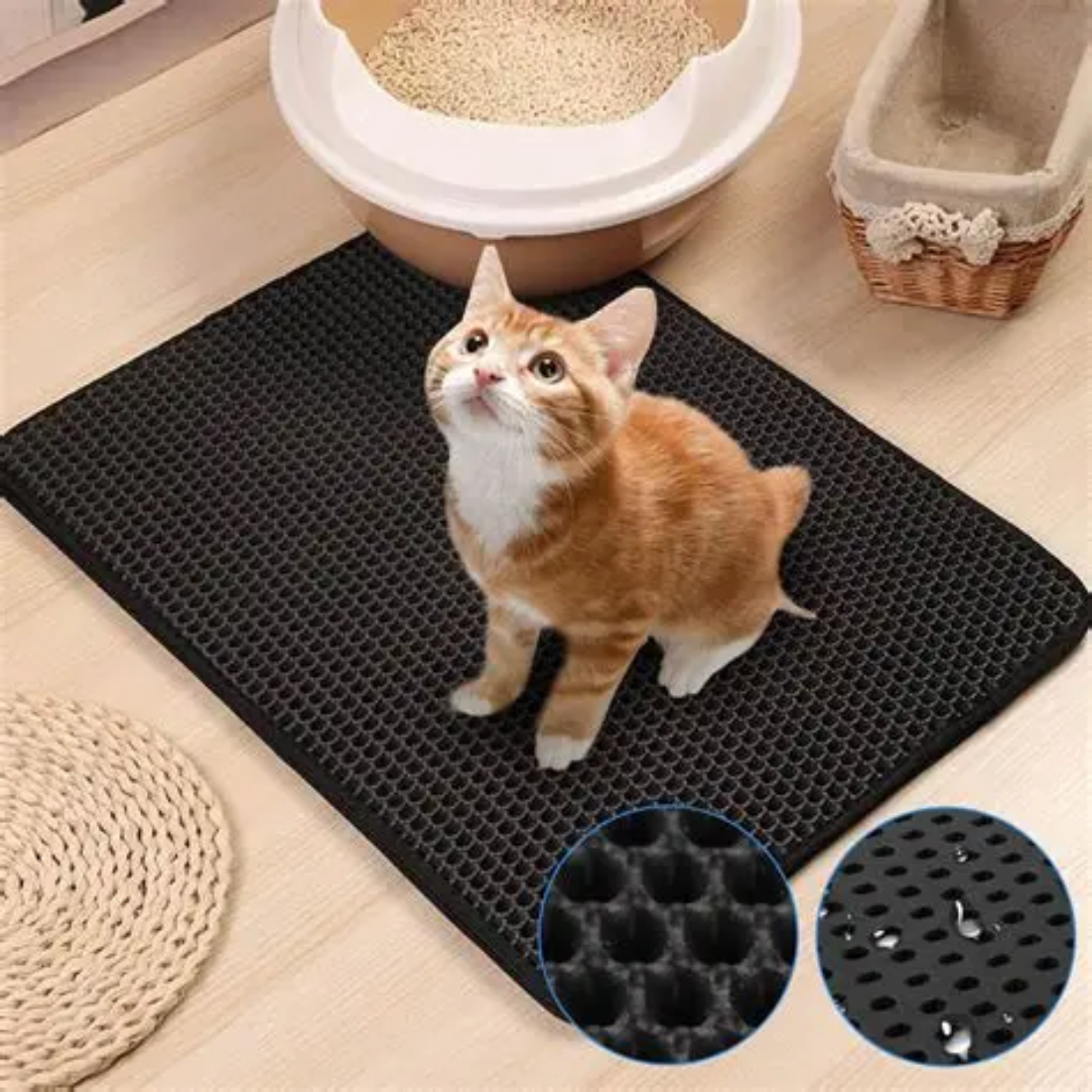 Alfombra Atrapa Arena · Gatos